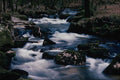 656020 Golitha Falls, Mentioned In The Domesday Book A4 Photo Print