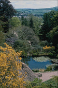 656034 Gardens, Cotehele House A4 Photo Print