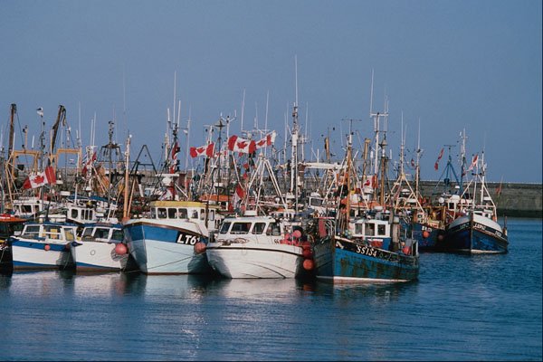 656080 Fishing Boats, Newlyn A4 Photo Print