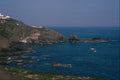 656092 Lizard Point A4 Photo Print