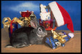 658001 Roger Looks Forward To Christmas A4 Photo Print