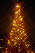 658018 Christmas Tree, Parliament Hill, Ottawa, Canada A4 Photo Print
