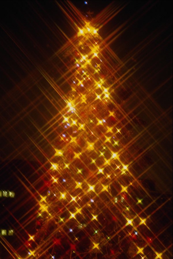 658018 Christmas Tree, Parliament Hill, Ottawa, Canada A4 Photo Print