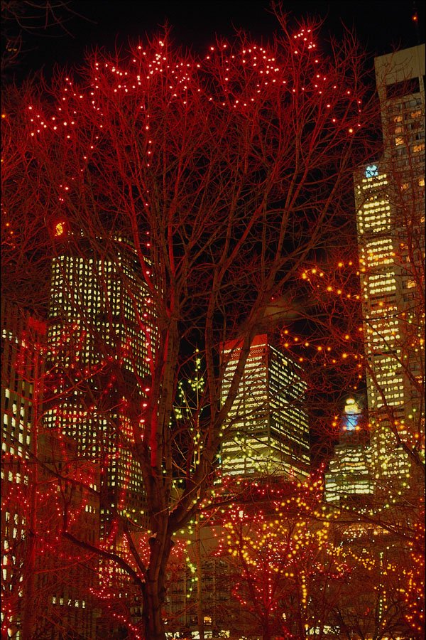 658019 City Hall And Nathan Philips Square, Toronto, Canada A4 Photo Print