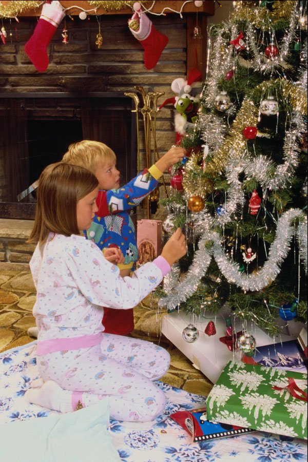 658028 Hanging Ornaments A4 Photo Print