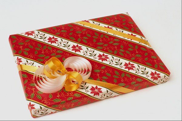 658044 Floral Gift A4 Photo Print