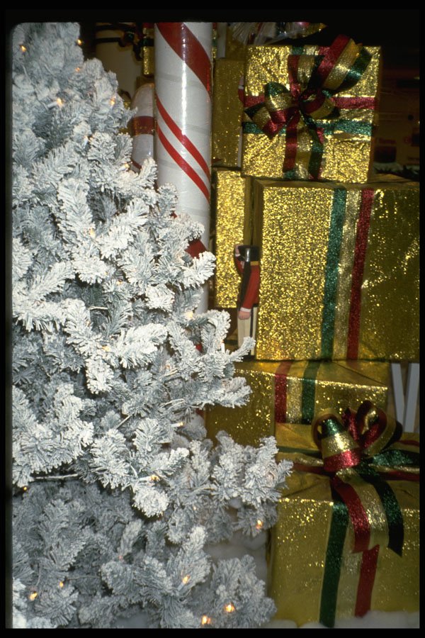 658074 Wrapped Presents Under Christmas Tree A4 Photo Print