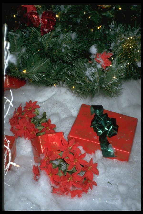 658077 Wrapped Presents A4 Photo Print