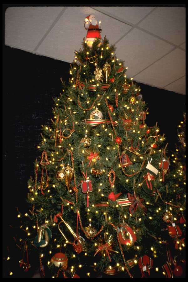 658079 Decorated Christmas Tree A4 Photo Print