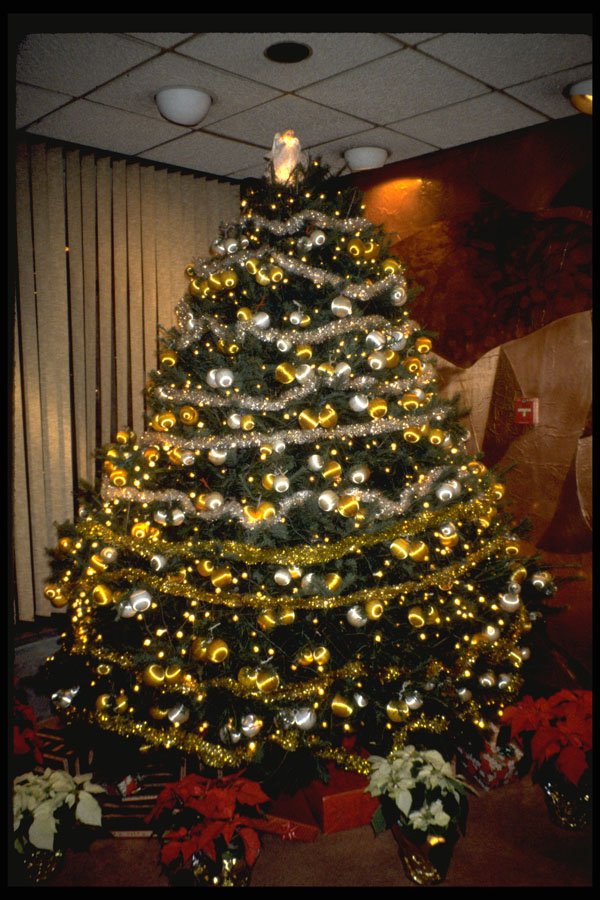 658081 Decorated Christmas Tree A4 Photo Print