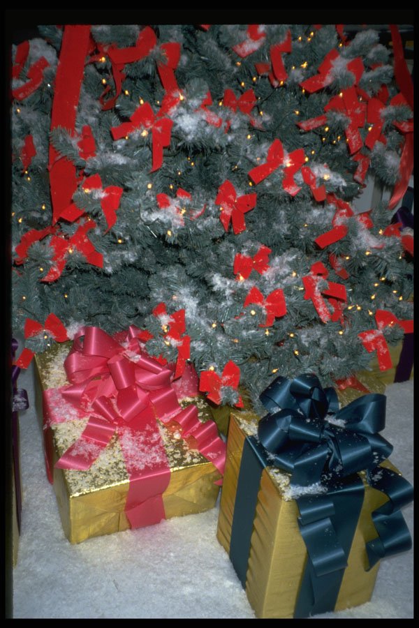 658082 Presents And Christmas Tree A4 Photo Print