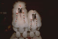 659028 Two White Standard Poodles Fringing In Bands A4 Photo Print