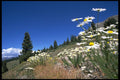 660004 Boreas Pass, Breckenridge, U.S.A. A4 Photo Print