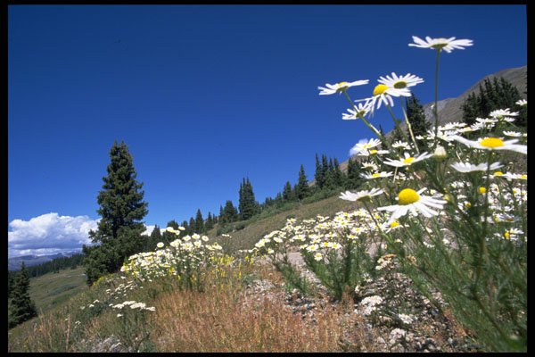 660004 Boreas Pass, Breckenridge, U.S.A. A4 Photo Print
