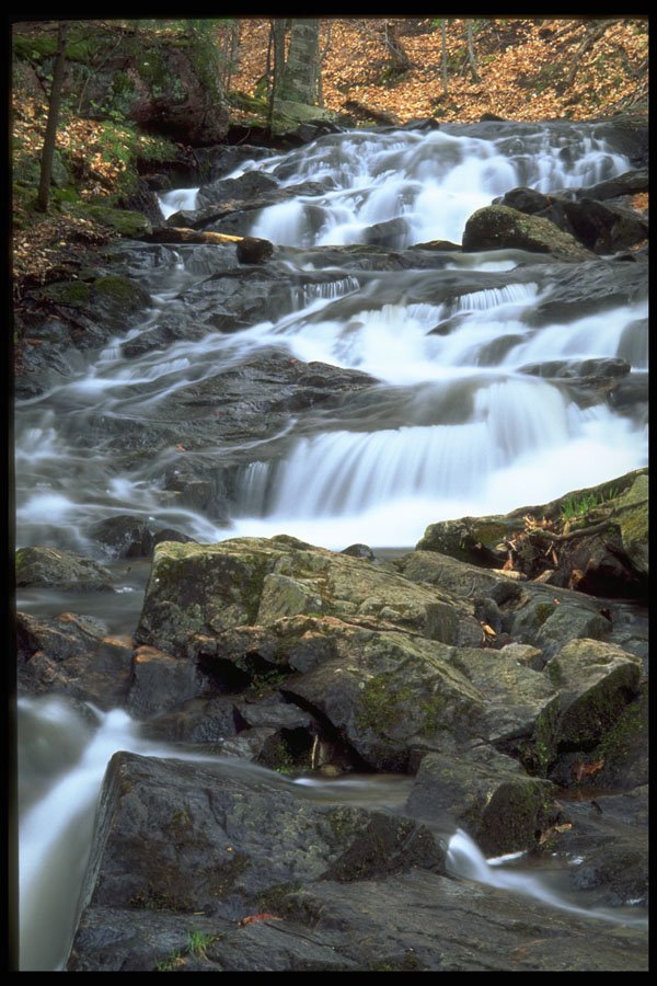 660015 Waterfalls, Gatineau Park, Quebec, Canada A4 Photo Print