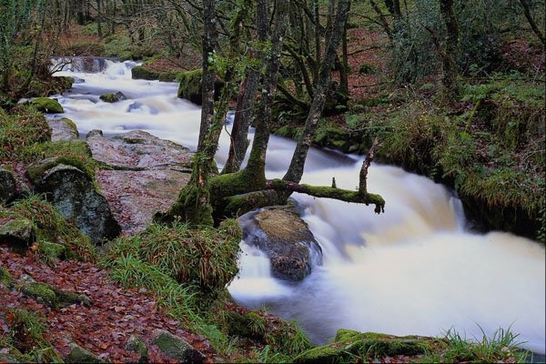 660016 Golitha Falls, Cornwall, England A4 Photo Print