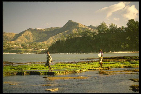 660021 Peasants In Rice Field A4 Photo Print