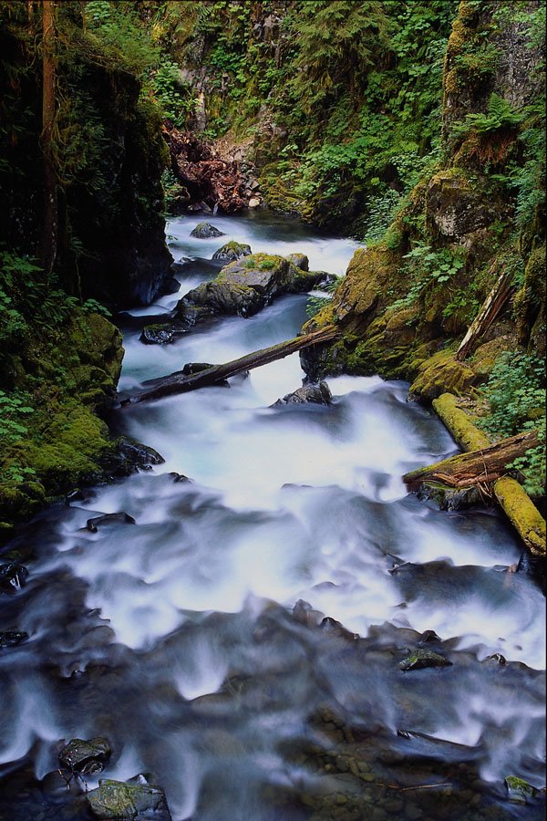 660023 Sol Duc River, Washington, U.S.A. A4 Photo Print