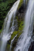 660024 Lower Proxy Falls, Willamette National Forest, Oregon, U.S.A. A4 Photo Print