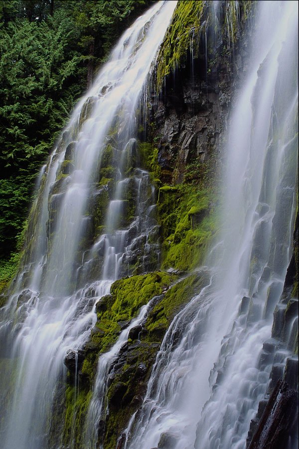 660024 Lower Proxy Falls, Willamette National Forest, Oregon, U.S.A. A4 Photo Print