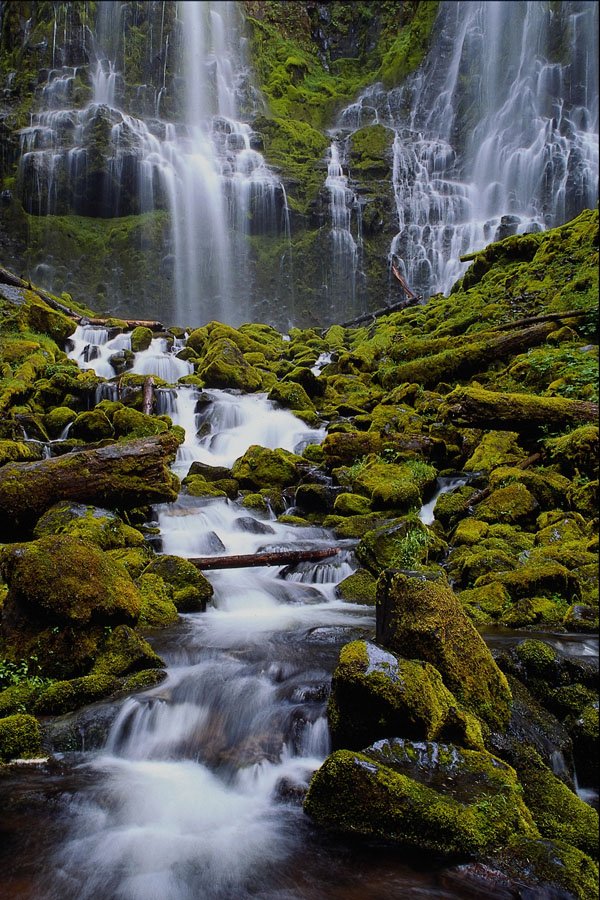 660025 Lower Proxy Falls, Willamette National Forest, Oregon, U.S.A. A4 Photo Print