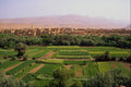 660029 Tinerhir, Morocco A4 Photo Print