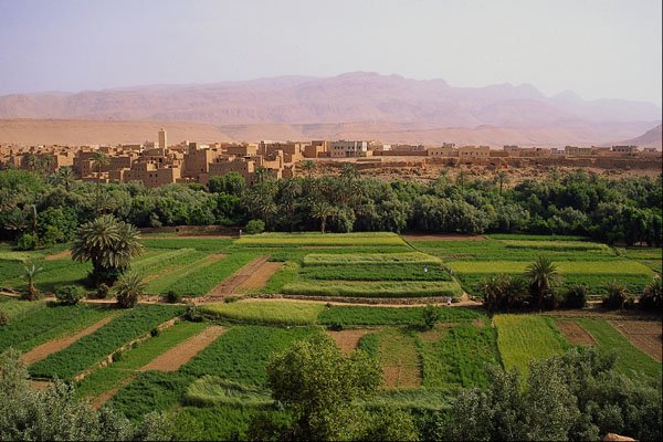 660029 Tinerhir, Morocco A4 Photo Print