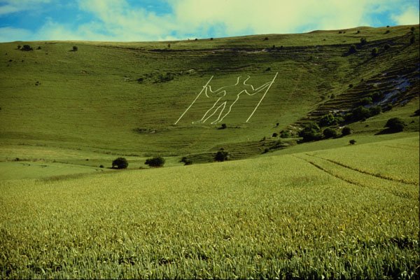 660039 Long Man Across The Corn, Sussex, England A4 Photo Print