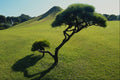 660046 Pine And Manmade Hillock, Suizenji Park, Kumamoto, Japan A4 Photo Print