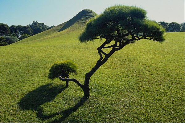 660046 Pine And Manmade Hillock, Suizenji Park, Kumamoto, Japan A4 Photo Print