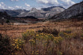 660048 Eastern Highlands, Zimbabwe A4 Photo Print