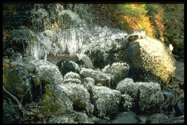 660052 Ice In Stream Near Grinton, Swaledale, North Yorkshire A4 Photo Print