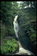 660061 Aira Force, Lake District, England A4 Photo Print