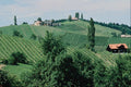 660070 Wine Route In Southern Syria, Austria A4 Photo Print