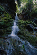 660073 Scene In Fundy National Park, Albert County, New Brunswick A4 Photo Print
