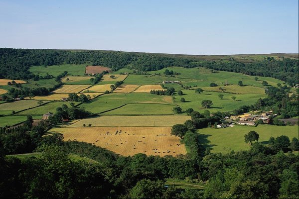 660075 North Yorkshire Dales, Nidderdale Way, Pateley Bridge A4 Photo Print