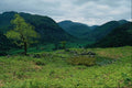 660076 Borrowdale From High Doat, Cumbria A4 Photo Print
