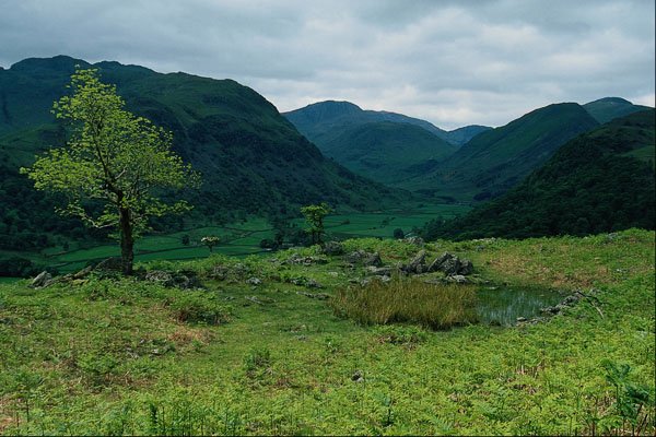 660076 Borrowdale From High Doat, Cumbria A4 Photo Print