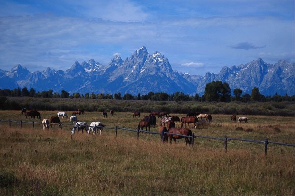 660084 Grand Teton Mountains From U.S. Highway, Wyoming A4 Photo Print