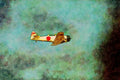 661008 Aircraft, Japanese Fighter A4 Limited Edition Watercolour Print