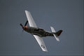 661013 Mustang A4 Photo Print