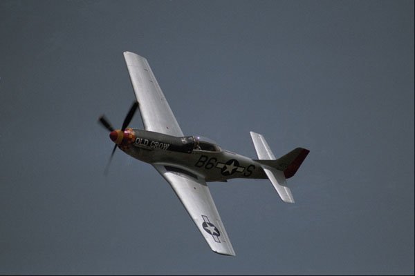 661013 Mustang A4 Photo Print