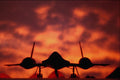 661019 SR 71 Blackbird On Runway A4 Photo Print