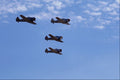 661021 Mustang Round up S.M.CA, Condor Squadron T6s A4 Photo Print