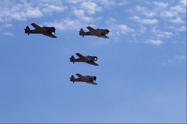 661021 Mustang Round up S.M.CA, Condor Squadron T6s A4 Photo Print