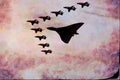 661038 Hawk And AVRO Vulcan B2 In Formation A4 Limited Edition Watercolour Print