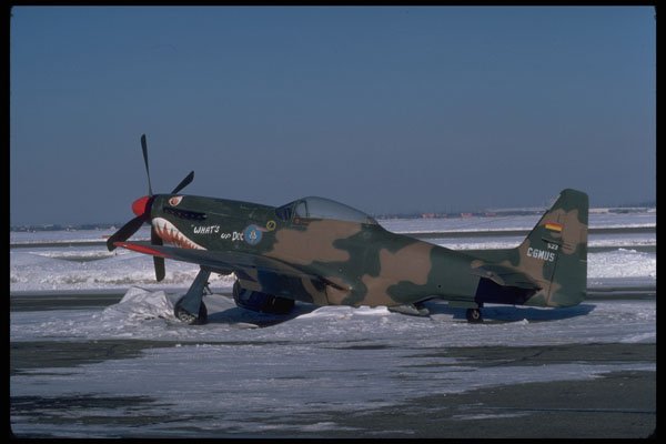 661045 P 54 Mustang, WWII Fighter Aircraft A4 Photo Print