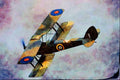 661048 D.H. 82A Tiger Moth A4 Limited Edition Watercolour Print