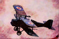 661049 SE 5A A4 Limited Edition Watercolour Print