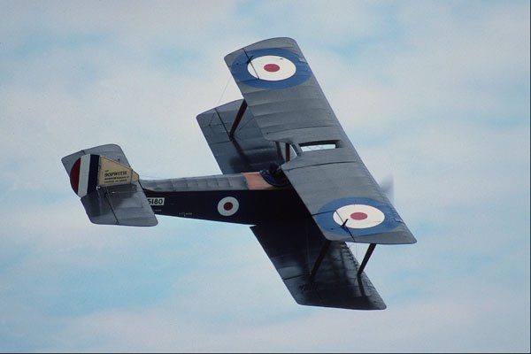661050 Sopwith Pup A4 Photo Print